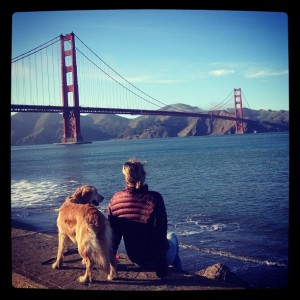Um Golden Retriever vendo a Golden Gate :)